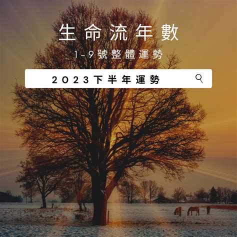 2023生命靈數流年7|【2023生命靈數流年7】掌握2023生命靈數流年7！找出你的好運。